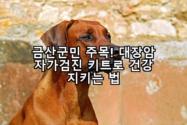 금산군민 주목! 대장암 자가검진 키트로 건강 지키는 법